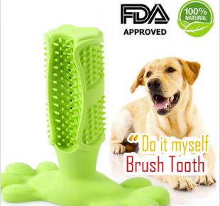 dog brush tooth