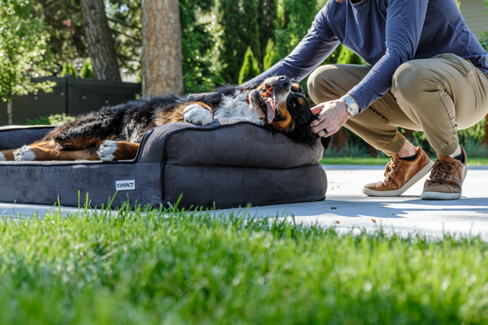 Best Large Dog Beds in 2026: What Actually Supports Big Joints
