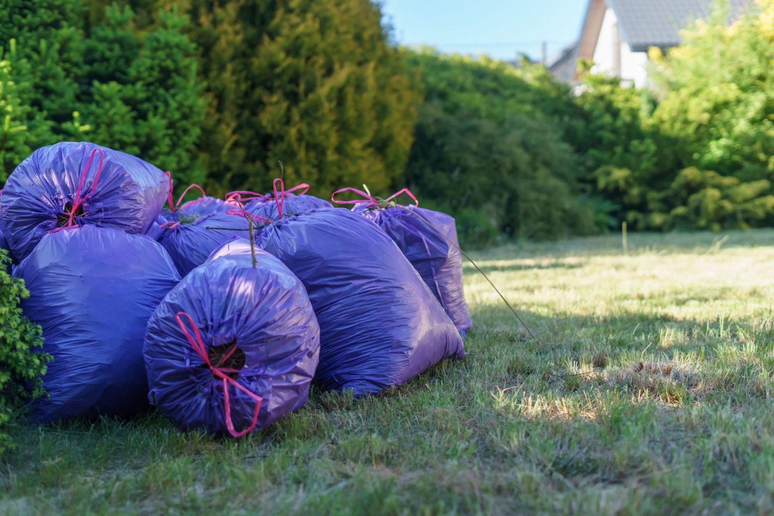 Best Dog Waste Bag Dispensers: Lucy’s Tested Guide for 2026