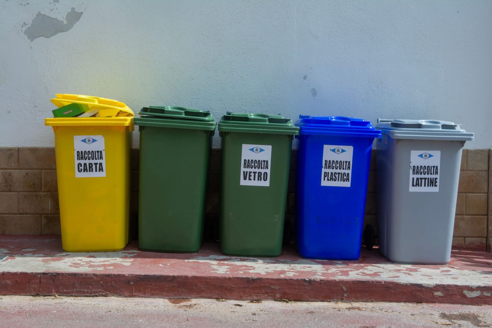 Pet Waste Management: Eco-Friendly Bags, Litter & Disposal Tips for Dogs & Cats